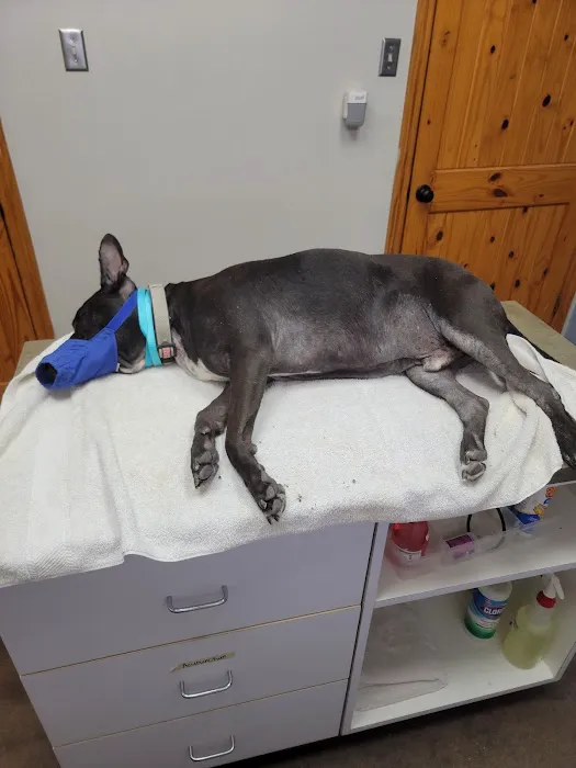 Brazos Bend Animal Hospital Picture 2