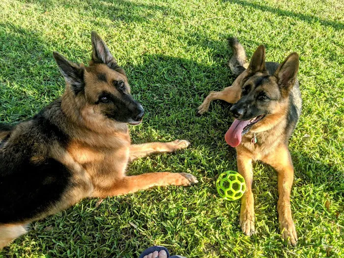 Brazos Bend Animal Hospital Picture 5