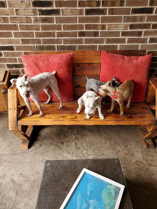 Brazos Bend Animal Hospital Picture 6