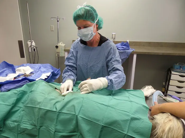 Brazos Bend Animal Hospital Picture 10
