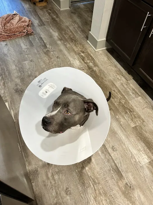Foster Creek Veterinary Hospital Picture 5