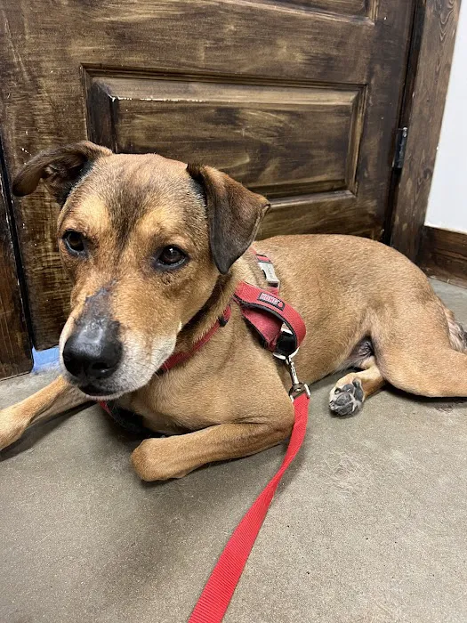 Foster Creek Veterinary Hospital Picture 9