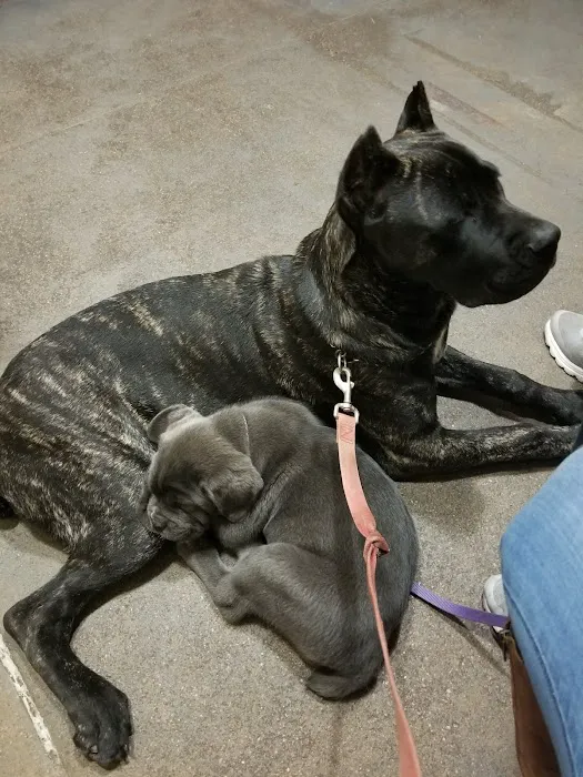 Foster Creek Veterinary Hospital Picture 8