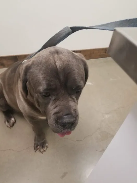 Foster Creek Veterinary Hospital Picture 7