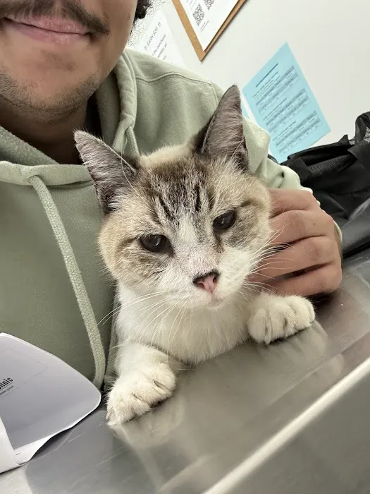 VCare animal clinic Picture 5