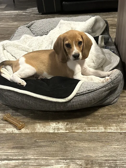 Banfield Pet Hospital Picture 2