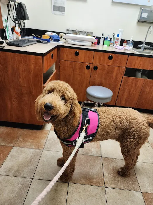 Banfield Pet Hospital Picture 5