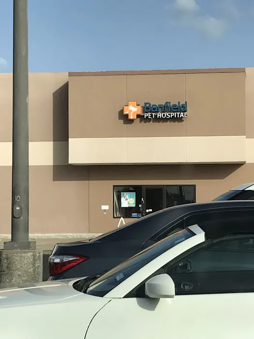 Banfield Pet Hospital Picture 6