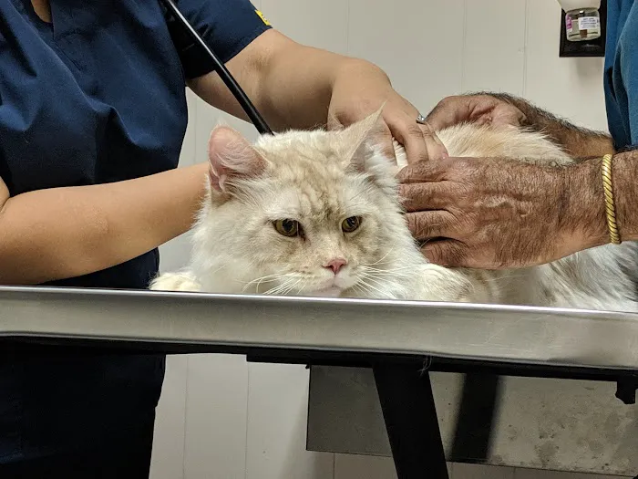Mason Road Veterinary Clinic Picture 1