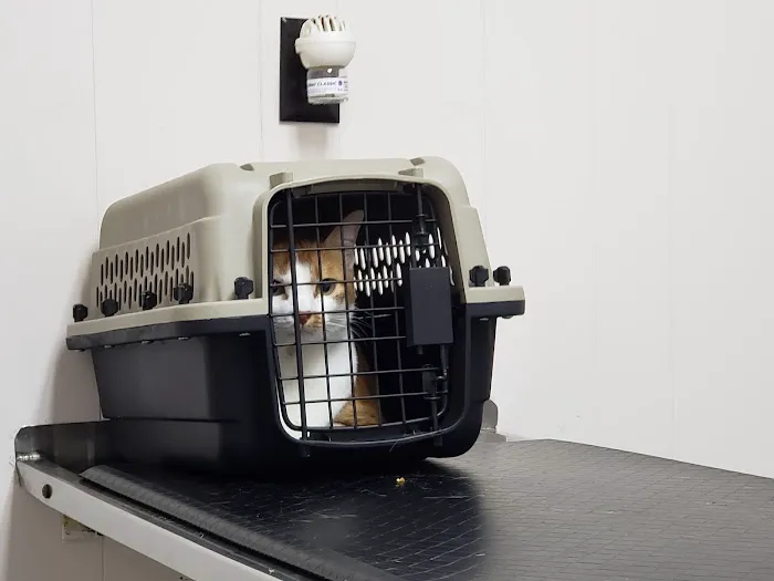 Mason Road Veterinary Clinic Picture 8