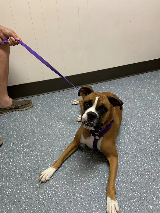 Mason Road Veterinary Clinic Picture 10