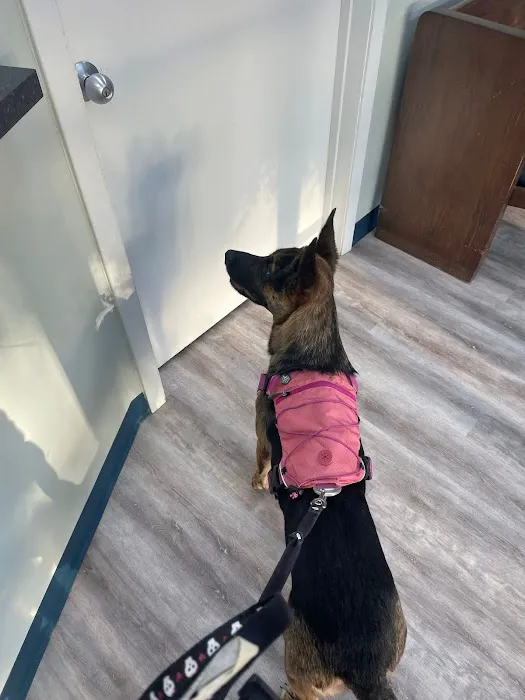 Williamsburg Animal Clinic Picture 8