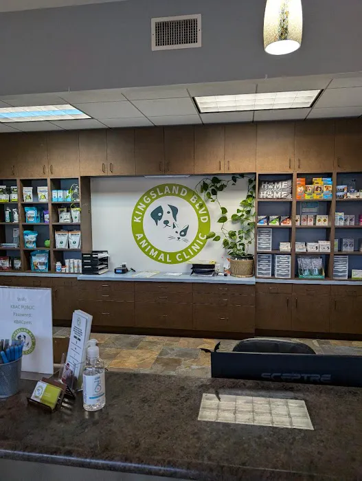 Kingsland Blvd Animal Clinic Picture 3