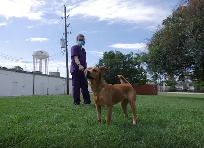 Kingsland Blvd Animal Clinic Picture 8