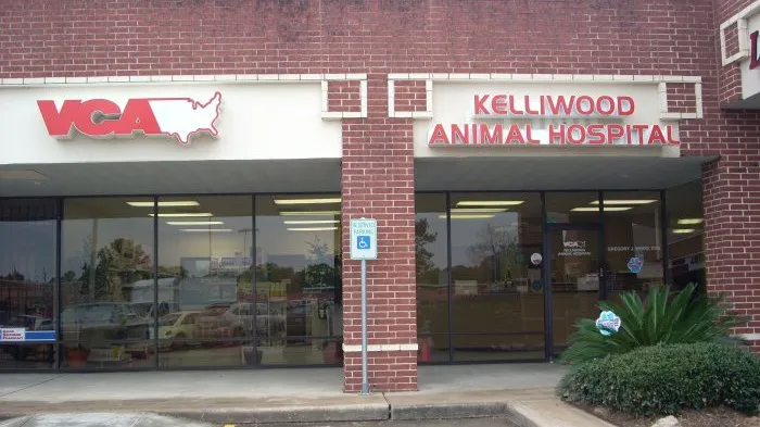 VCA Kelliwood Animal Hospital Picture 9