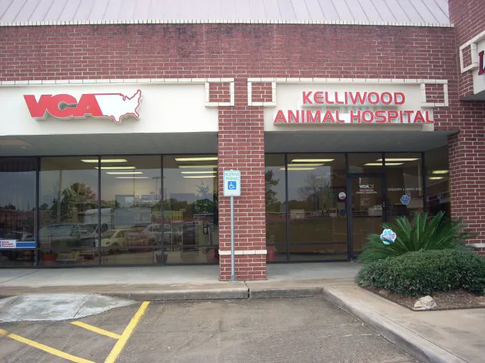 VCA Kelliwood Animal Hospital Picture 10