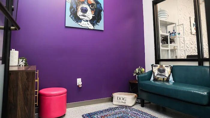 PetVet365 Pet Hospital Cypress Picture 4