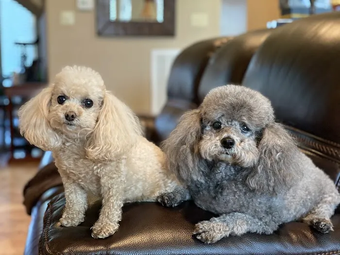 Cypress Lakes Animal Hospital Picture 3