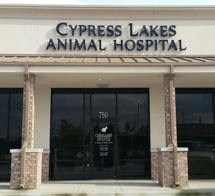 Cypress Lakes Animal Hospital Picture 9