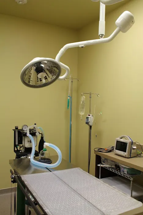 Cypress Lakes Animal Hospital Picture 10