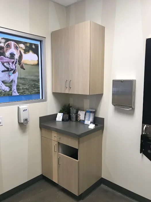 Vetco Total Care Animal Hospital Picture 6