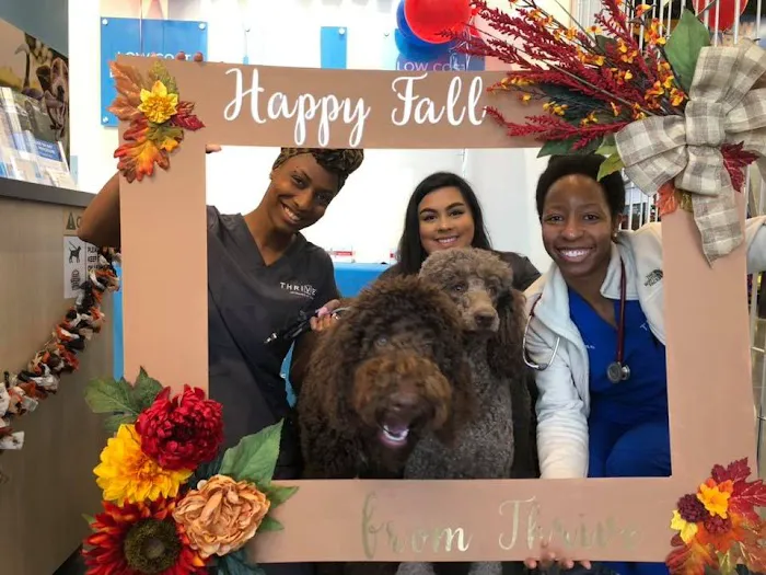 Vetco Total Care Animal Hospital Picture 7
