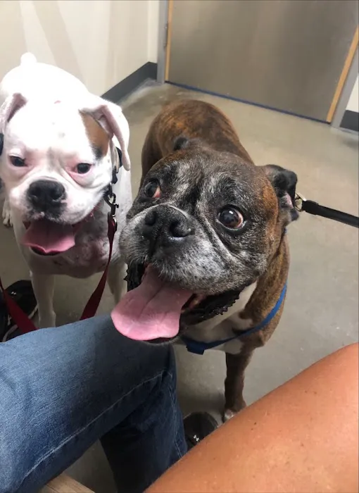 Vetco Total Care Animal Hospital Picture 3