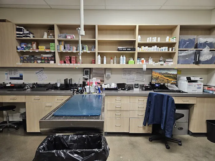 Vetco Total Care Animal Hospital Picture 10