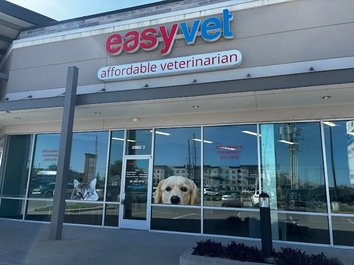 EasyVet Veterinarian Katy Picture 3
