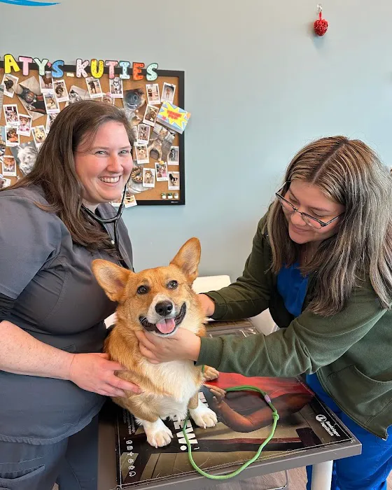 EasyVet Veterinarian Katy Picture 7