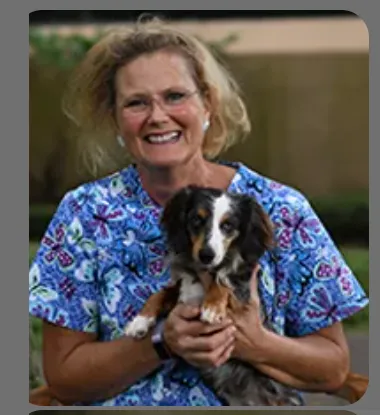Grand Park Animal Clinic Picture 10