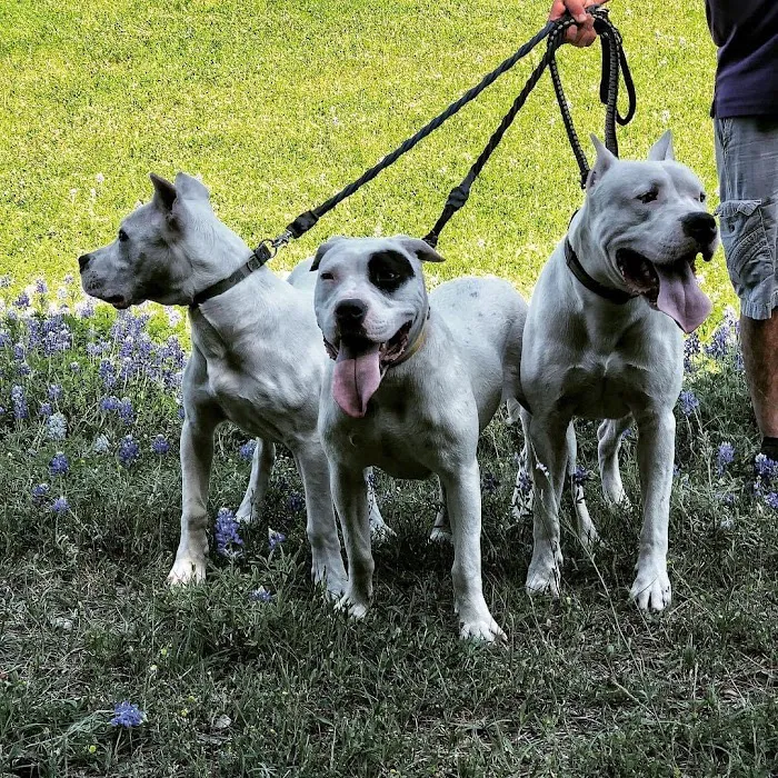 Grand Park Animal Clinic Picture 9