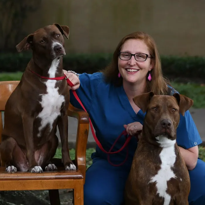 Grand Park Animal Clinic Picture 8