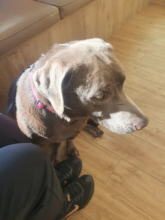 Fairfield Animal Hospital Picture 1
