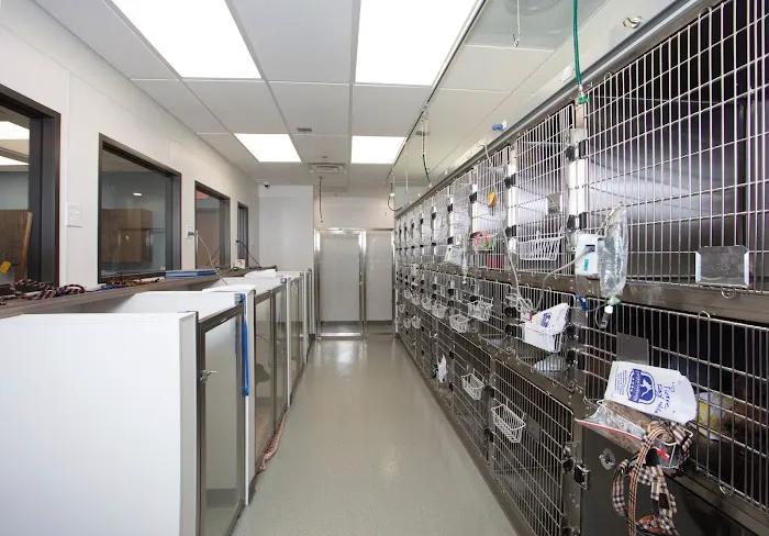 Cypress Fairhaven Animal Hospital Picture 9