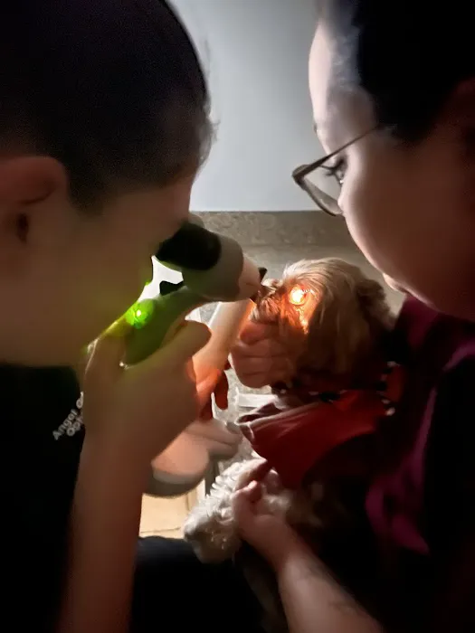 Envision More Veterinary Ophthalmology Picture 8