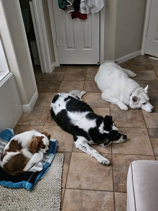 Banfield Pet Hospital Picture 4