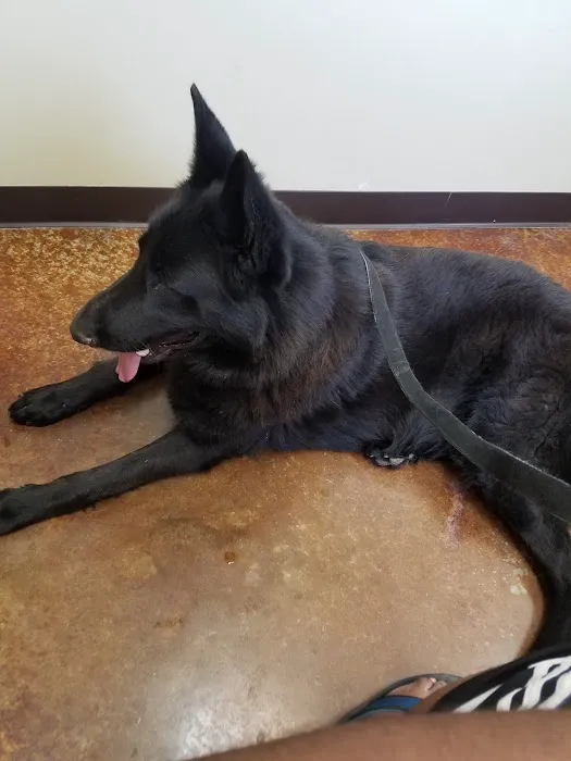 VCA Tomball Veterinary Hospital Picture 4