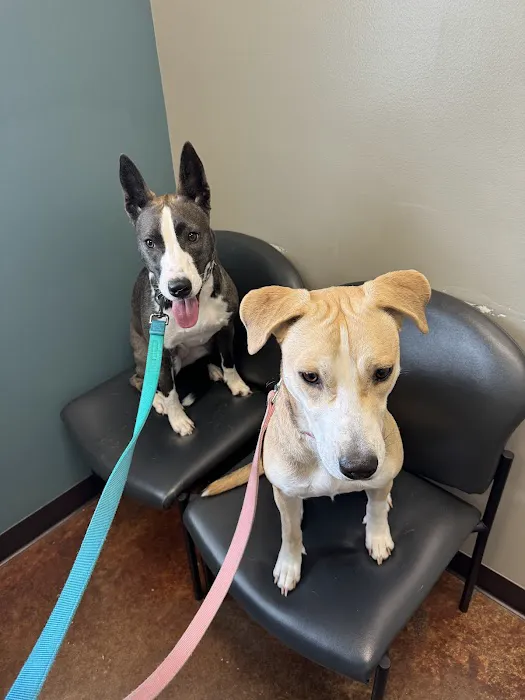 VCA Tomball Veterinary Hospital Picture 1
