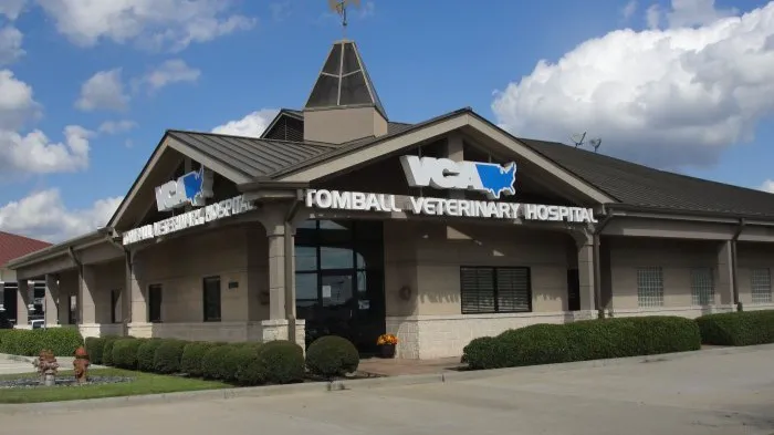 VCA Tomball Veterinary Hospital Picture 9