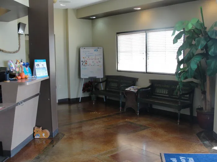 VCA Tomball Veterinary Hospital Picture 6