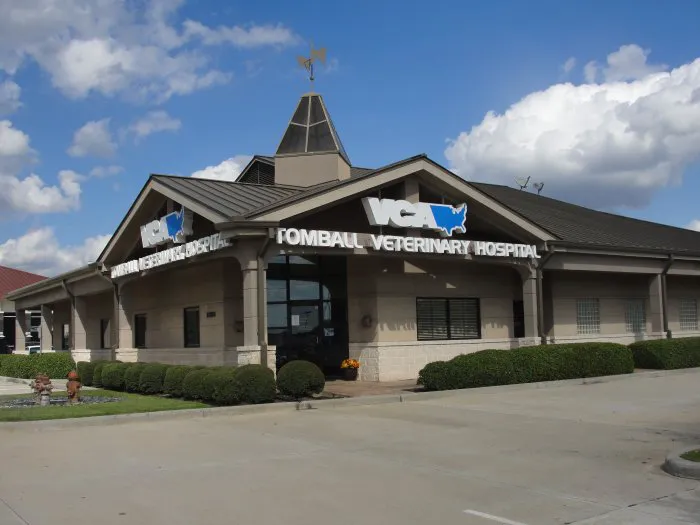 VCA Tomball Veterinary Hospital Picture 7