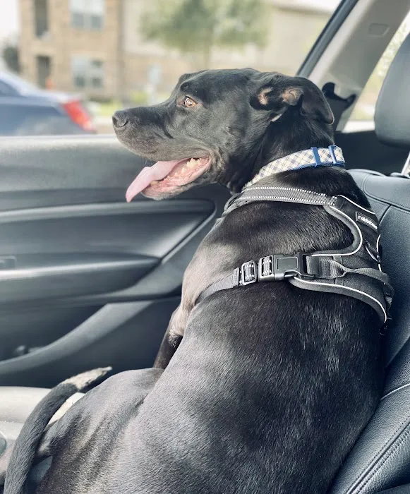 Vetco Total Care Animal Hospital Picture 2