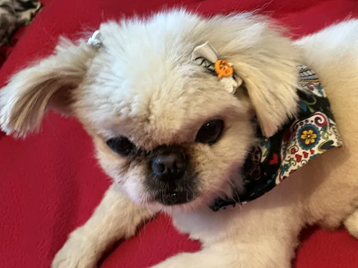 Vetco Total Care Animal Hospital Picture 1