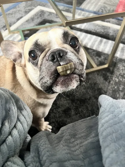 Vetco Total Care Animal Hospital Picture 6