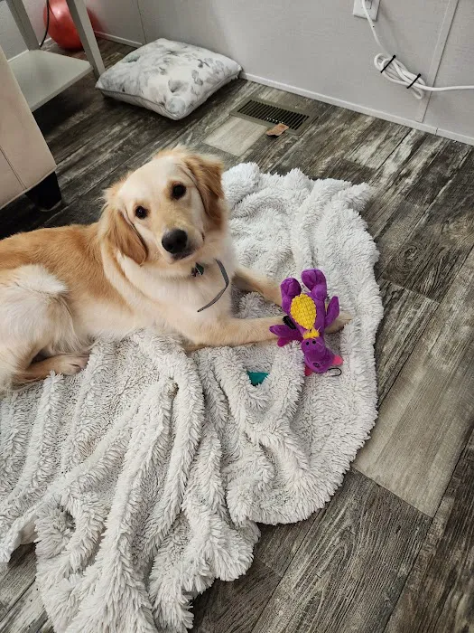 Vetco Total Care Animal Hospital Picture 3