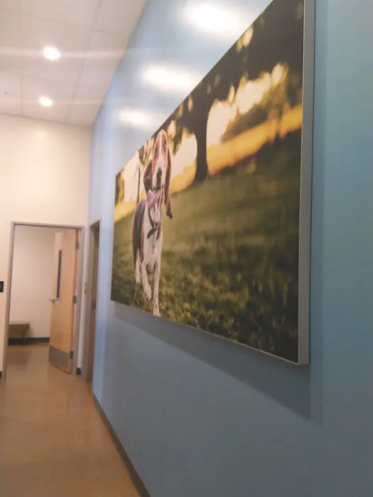 Vetco Total Care Animal Hospital Picture 9