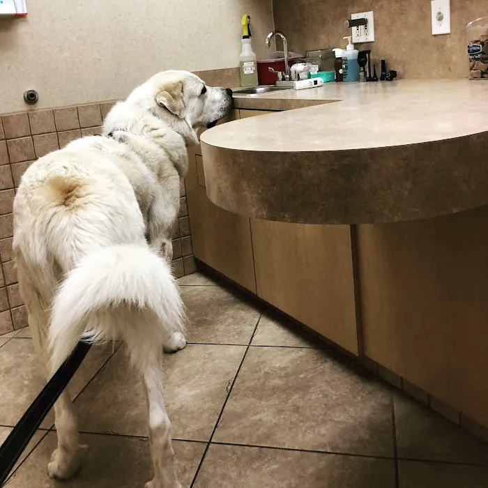 The Village Vet at Sterling Ridge Picture 1