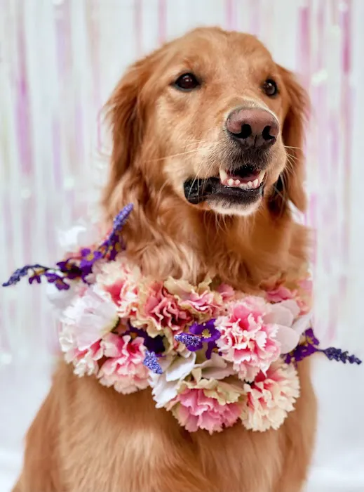 True Animal Vet Picture 1