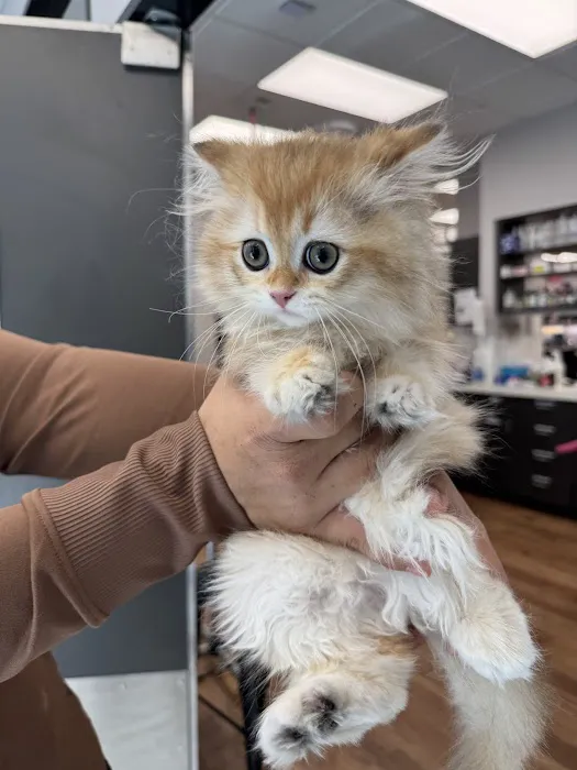 True Animal Vet Picture 7